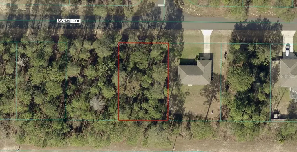 Tbd SW 134 Loop Ocala FL 34473