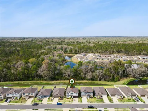 1814 Red Loop Lakeland FL 33801