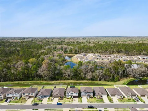 1814 Red Loop Lakeland FL 33801