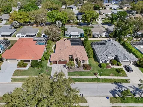 3897 Talah Drive Palm Harbor FL 34684