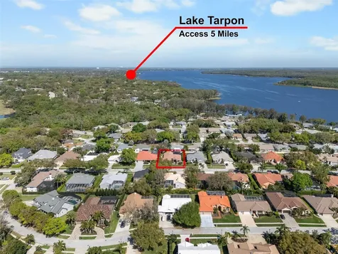 3897 Talah Drive Palm Harbor FL 34684