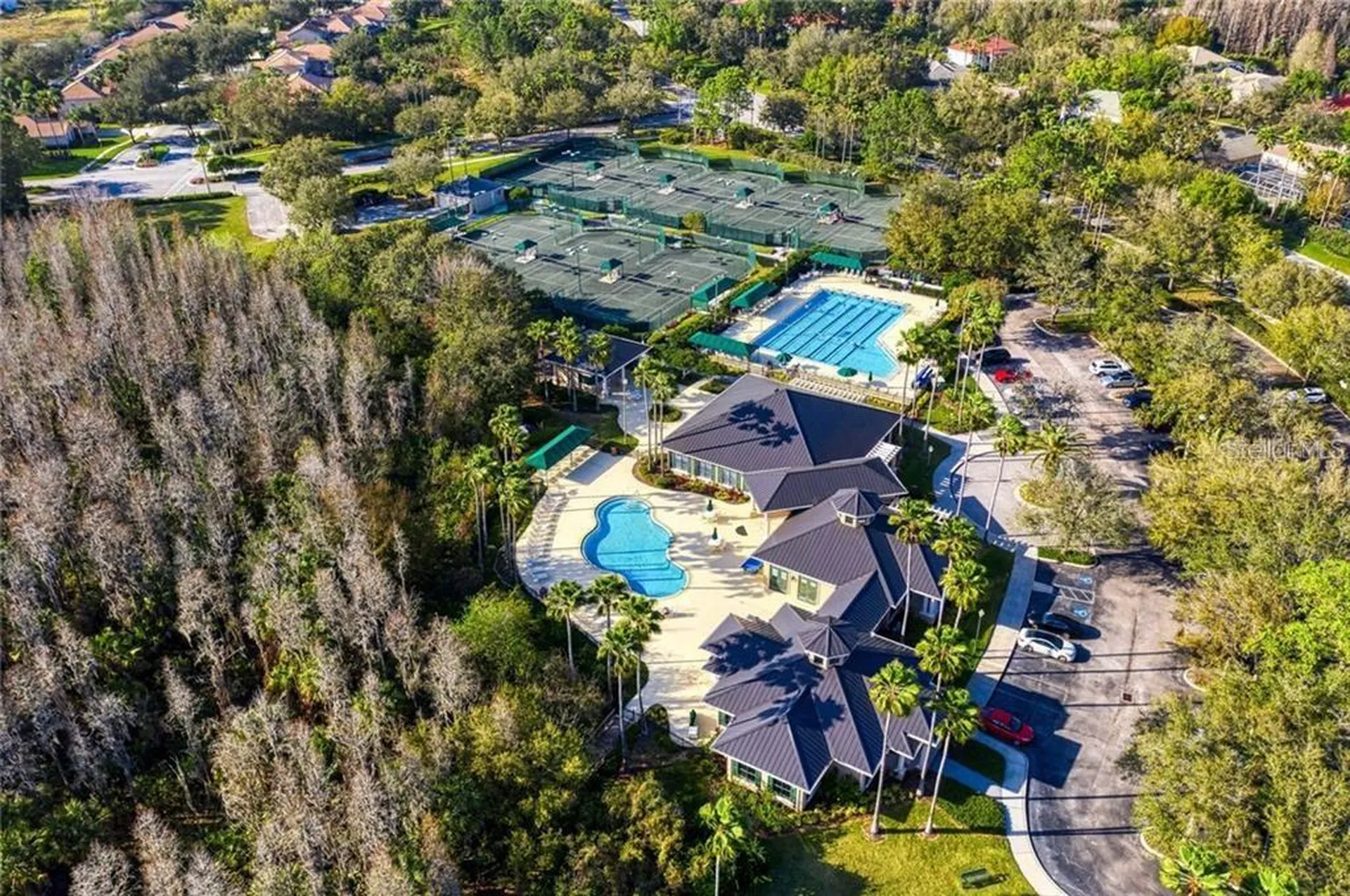 17923 Arbor Greene Drive Tampa FL 33647