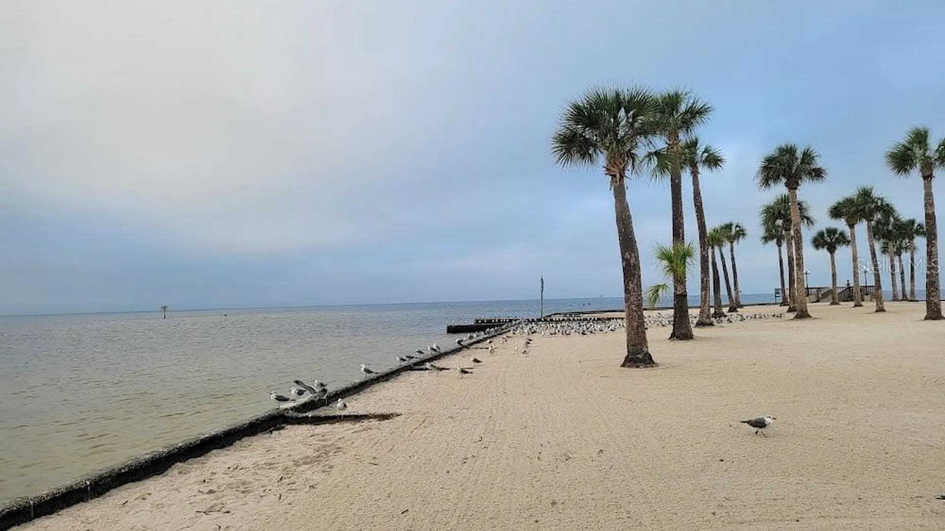 4489 Fishman Avenue Weeki Wachee FL 34607