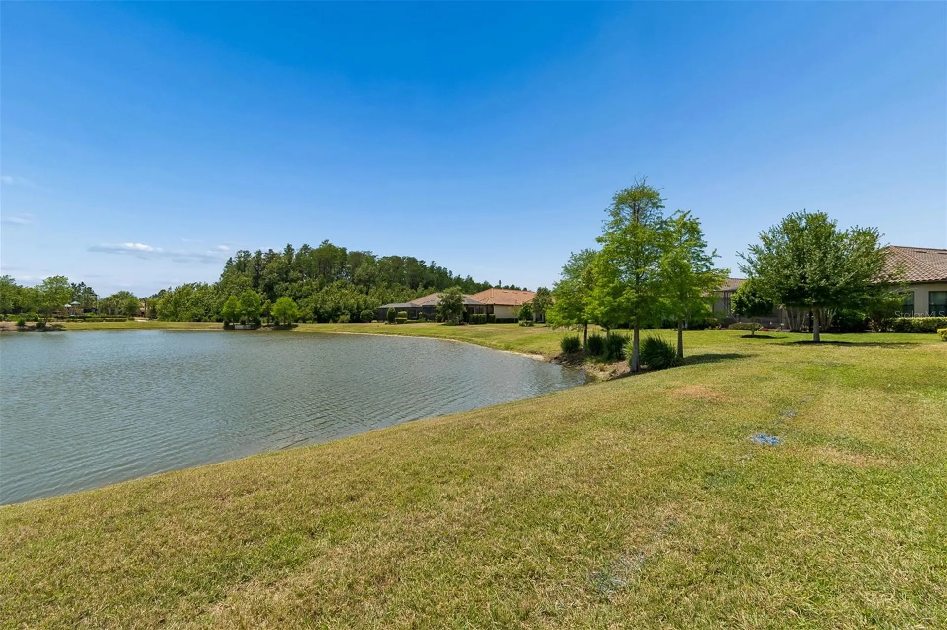 11318 Juglans Drive Odessa FL 33556