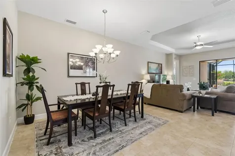 11318 Juglans Drive Odessa FL 33556