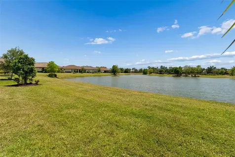 11318 Juglans Drive Odessa FL 33556