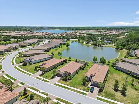 11318 Juglans Drive Odessa FL 33556