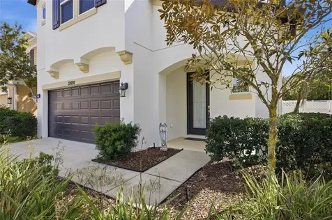 32692 Windelstraw Drive Wesley Chapel FL 33545