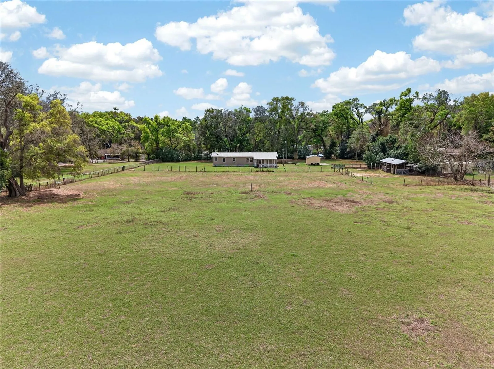 37043 Trilby Road Dade City FL 33523
