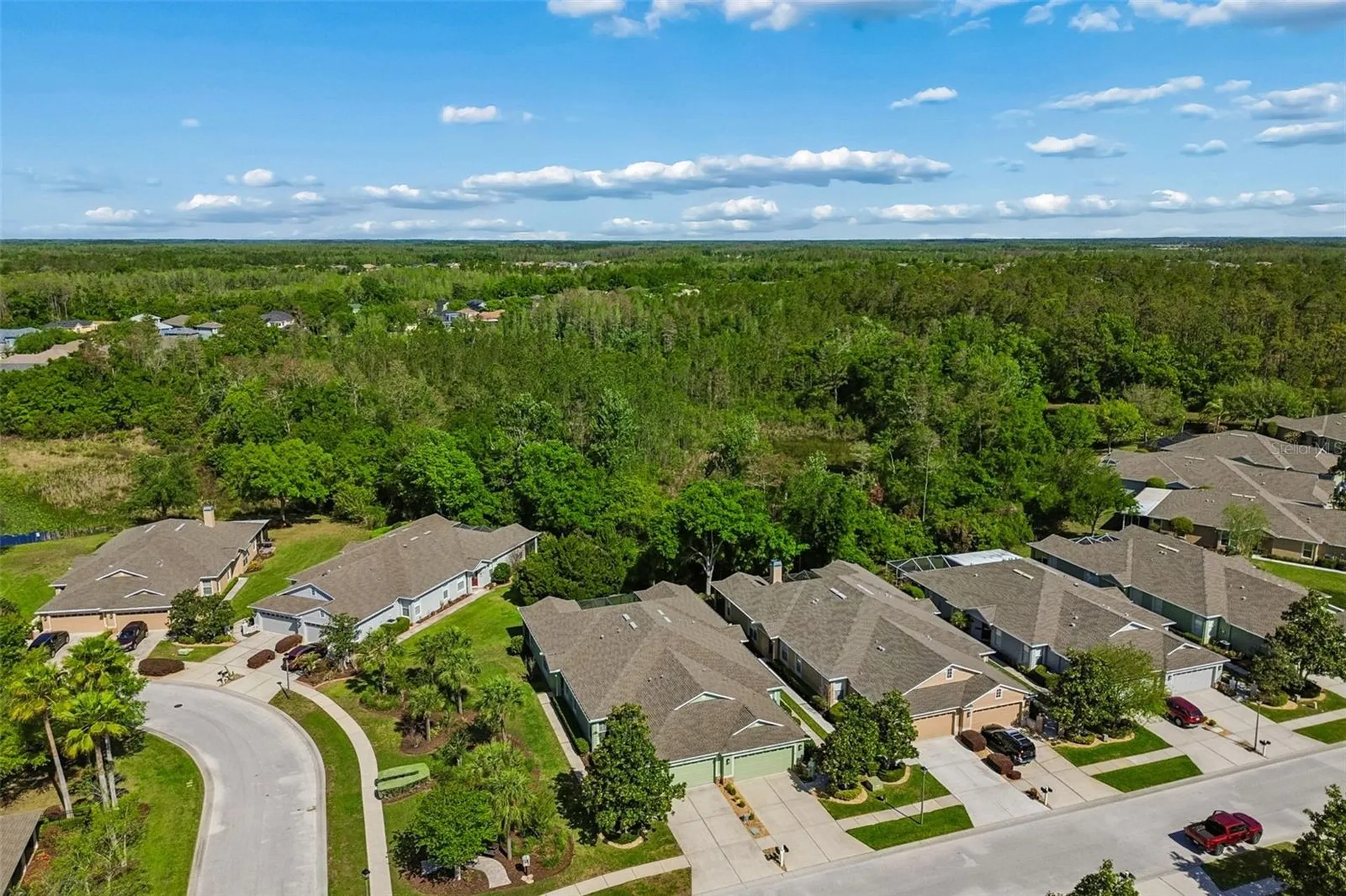 7533 Deer Path Lane Land O Lakes FL 34637