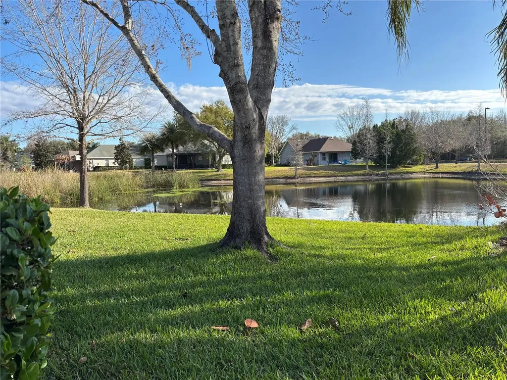 8214 Lagerfeld Drive Land O Lakes FL 34637