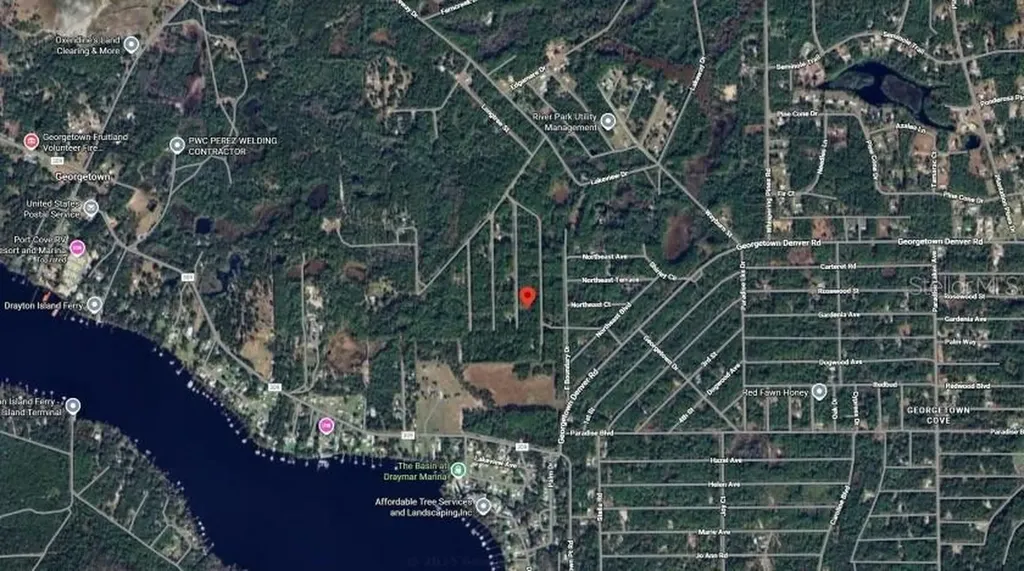 138 Mosswood Street Georgetown FL 32139