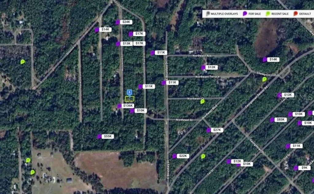 138 Mosswood Street Georgetown FL 32139