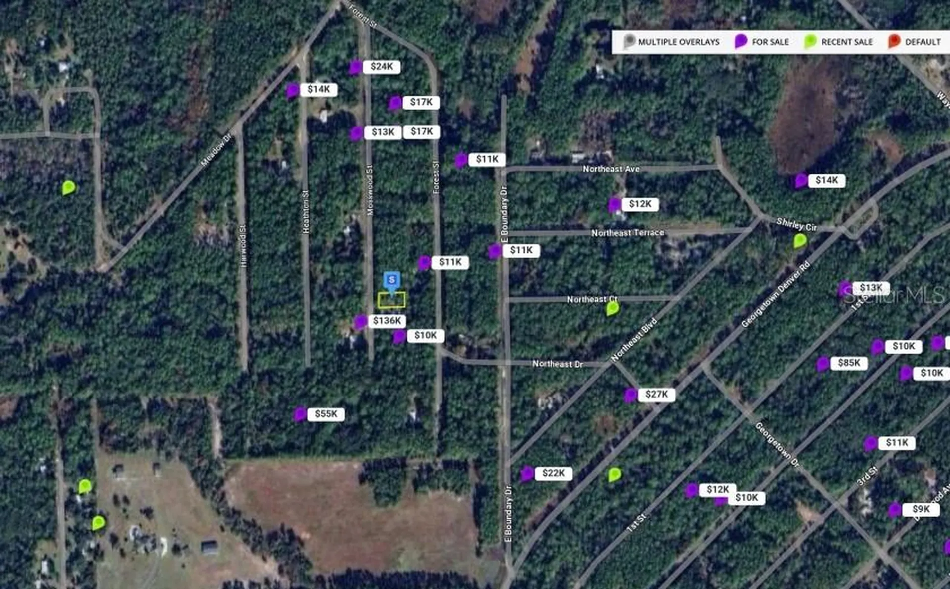 138 Mosswood Street Georgetown FL 32139