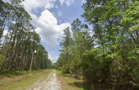 138 Mosswood Street Georgetown FL 32139