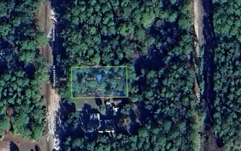 138 Mosswood Street Georgetown FL 32139