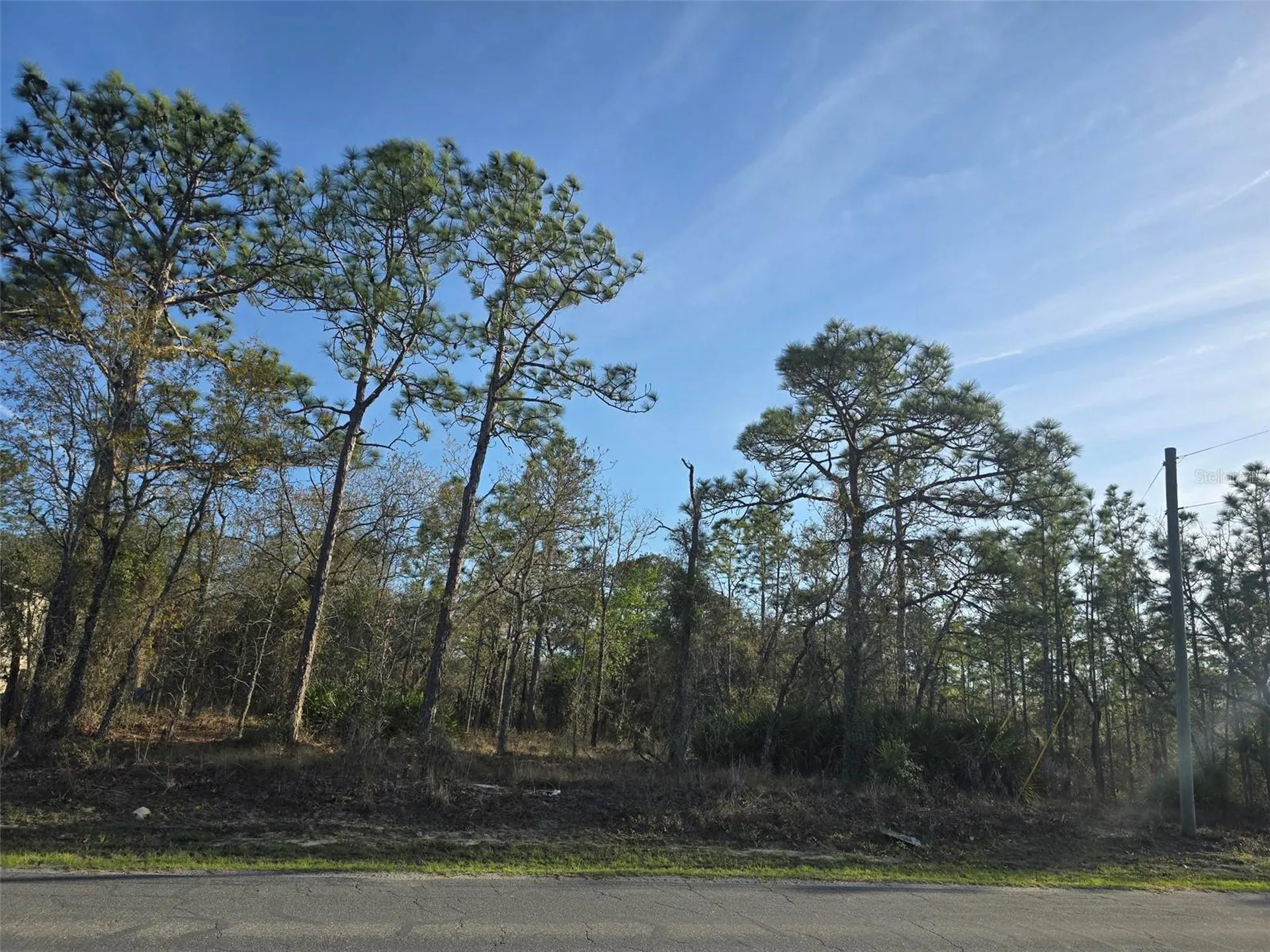 13070 Quigley Avenue Weeki Wachee FL 34614