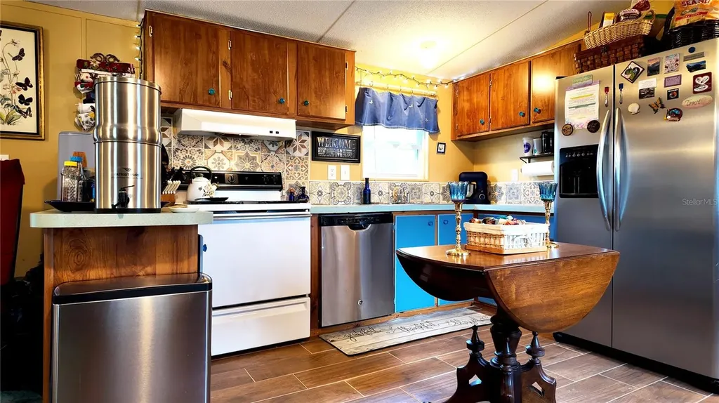 655 SE 162nd Terrace Silver Springs FL 34488
