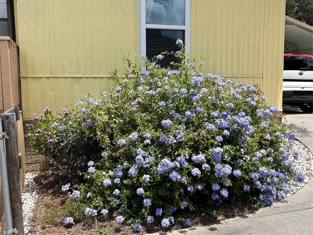 655 SE 162nd Terrace Silver Springs FL 34488