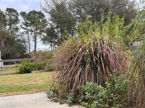 655 SE 162nd Terrace Silver Springs FL 34488