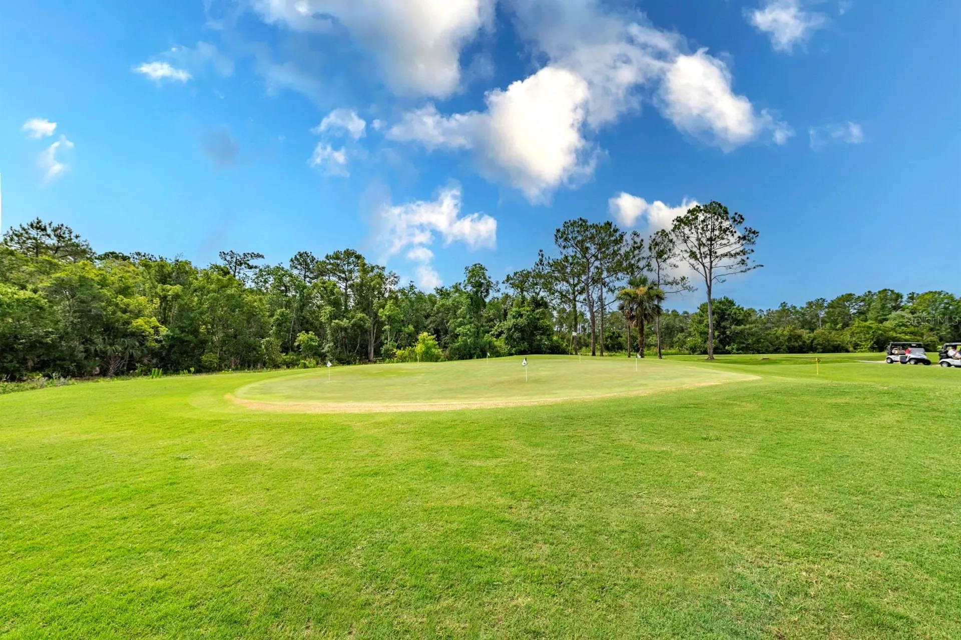 1901 Park Forest Boulevard Mount Dora FL 32757