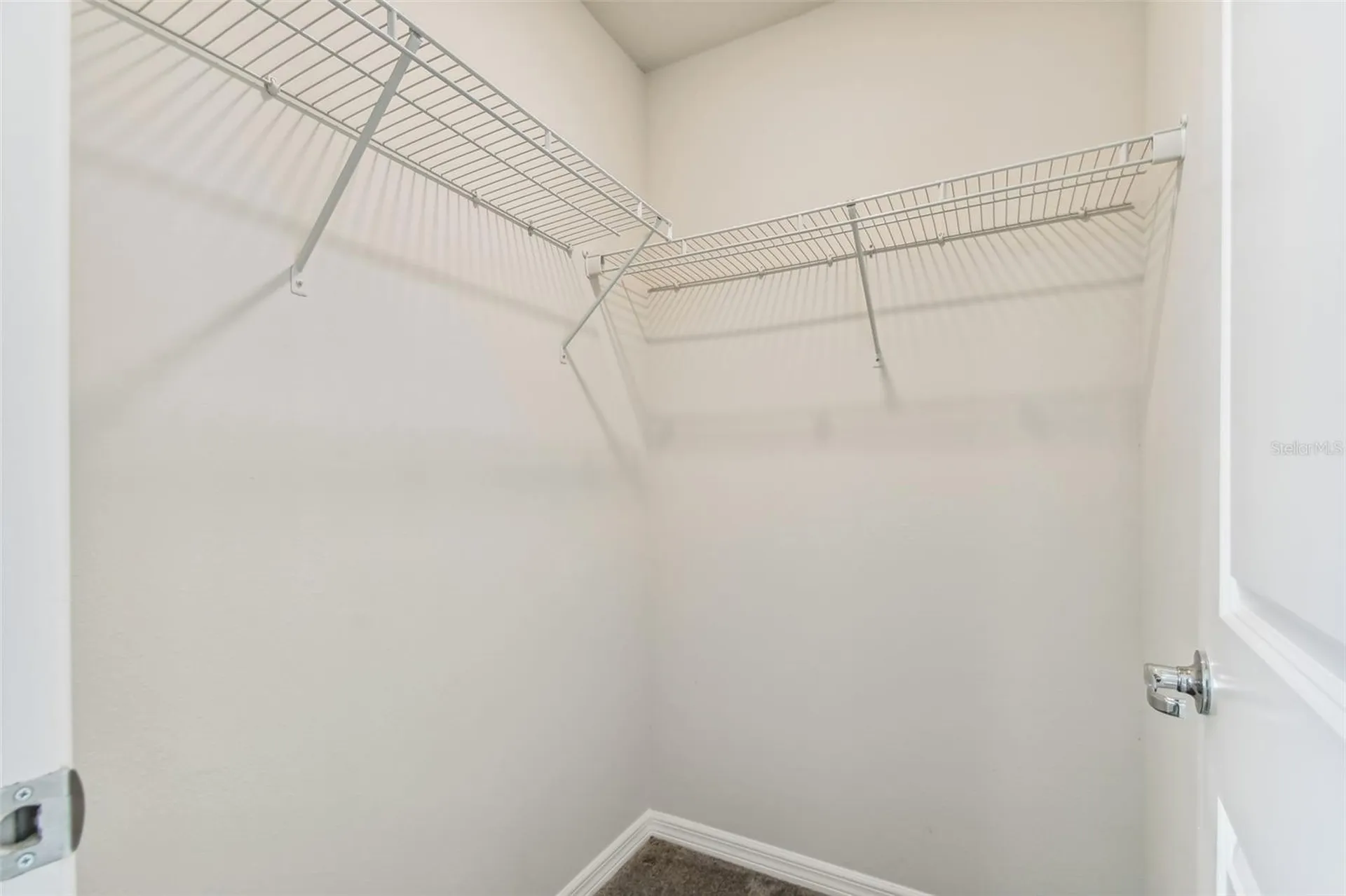 11239 Sycamore Glen Loop Thonotosassa FL 33592
