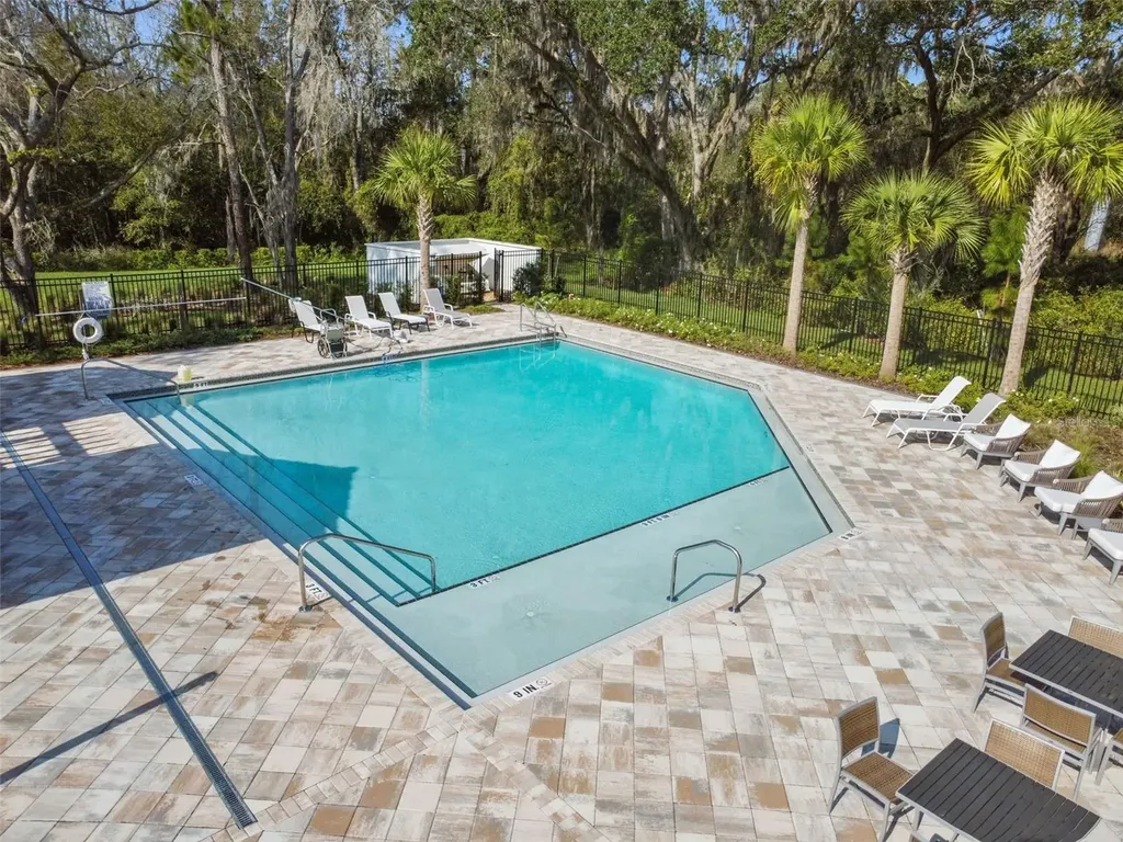 34214 Rogallo Lane Wesley Chapel FL 33545
