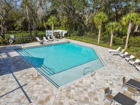 34214 Rogallo Lane Wesley Chapel FL 33545