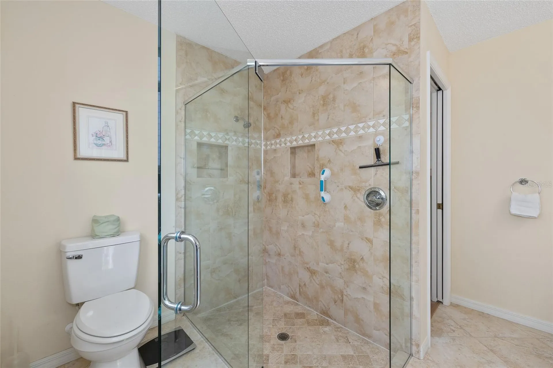 16845 SE 93rd Cuthbert Circle The Villages FL 32162