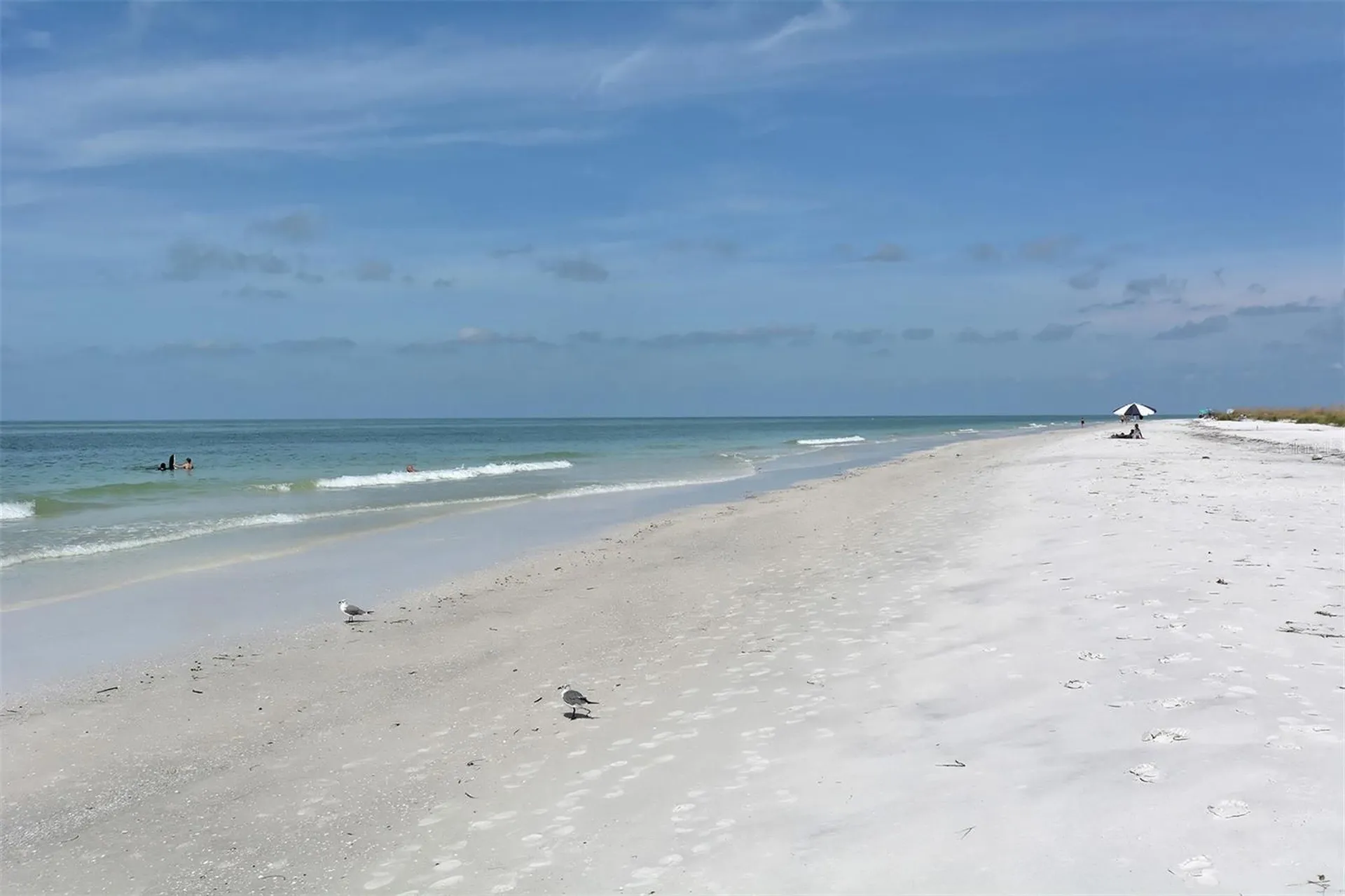 1005 Pelican Court Bradenton FL 34209