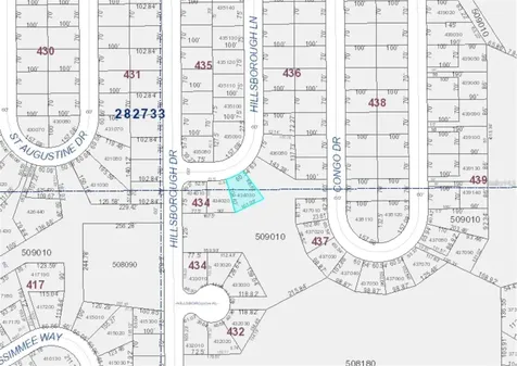 1317 Hillsborough Lane Kissimmee FL 34759