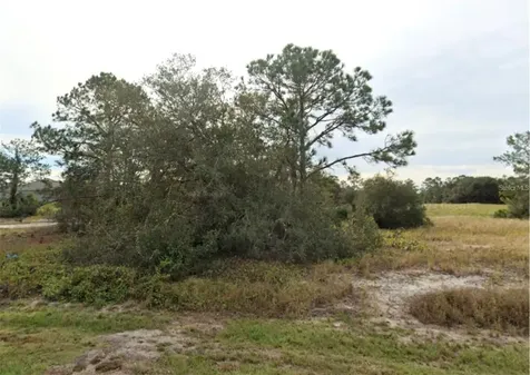 1317 Hillsborough Lane Kissimmee FL 34759