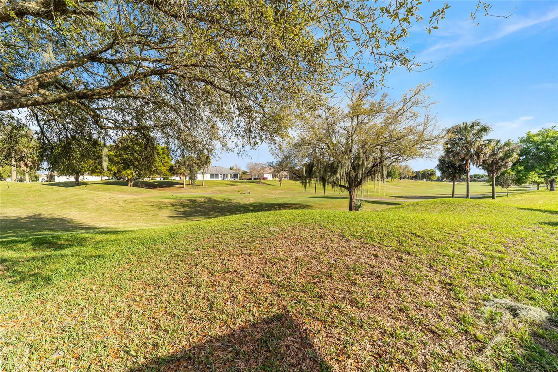 13265 SE 91st Court Road Summerfield FL 34491