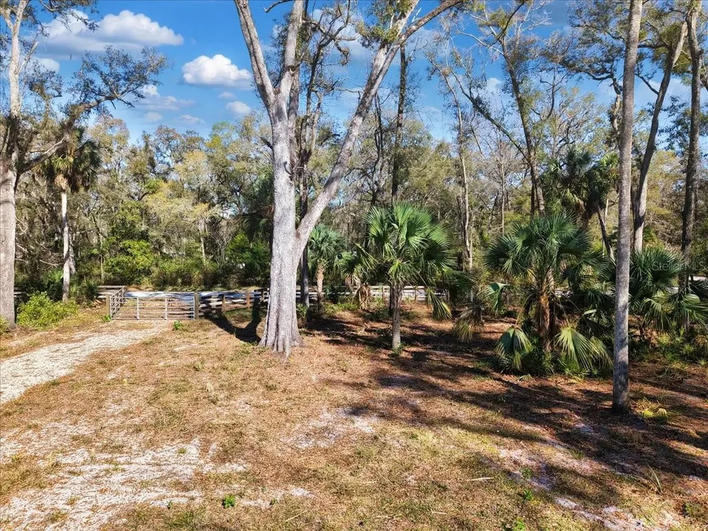 164 NE 293rd Avenue Old Town FL 32680