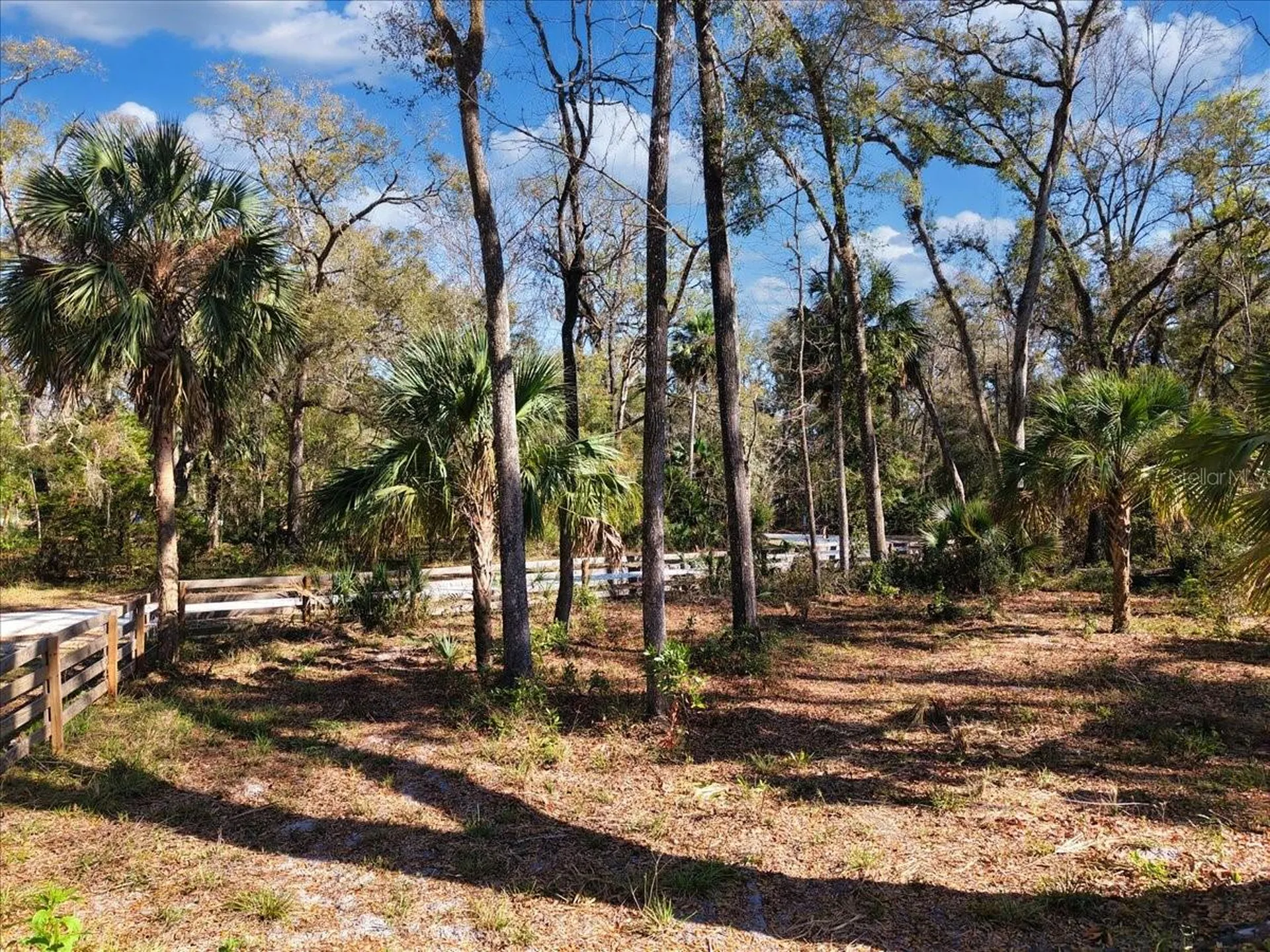 164 NE 293rd Avenue Old Town FL 32680