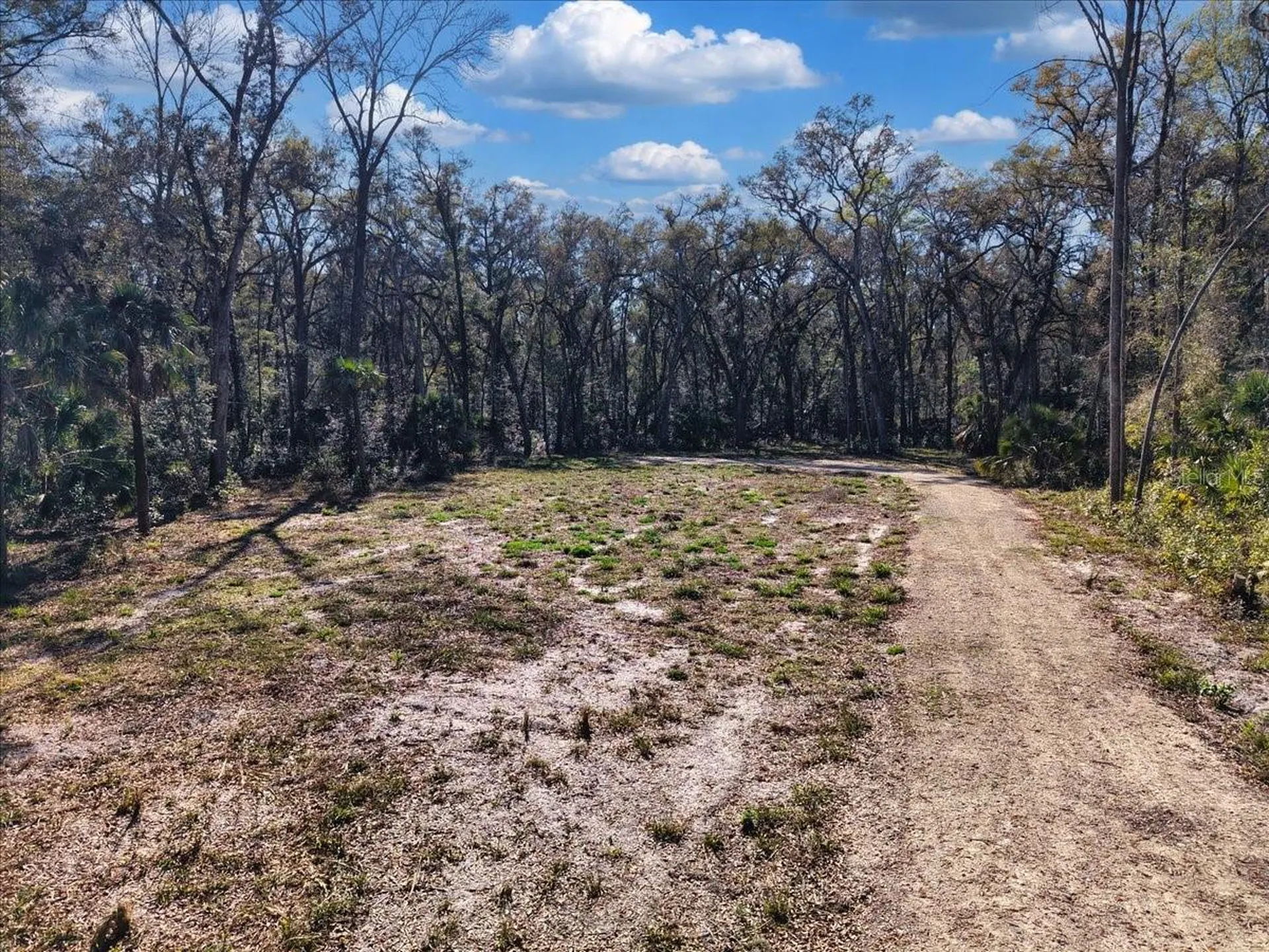 164 NE 293rd Avenue Old Town FL 32680