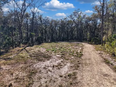 164 NE 293rd Avenue Old Town FL 32680