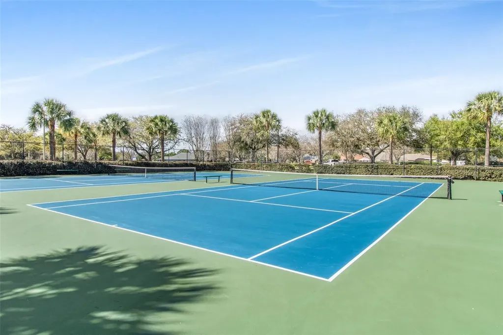 19331 Haskell Place Land O Lakes FL 34638