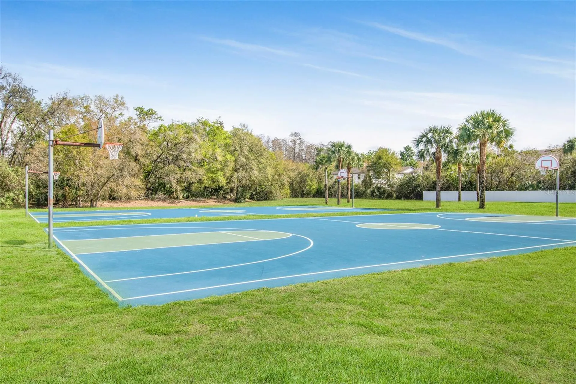 19331 Haskell Place Land O Lakes FL 34638