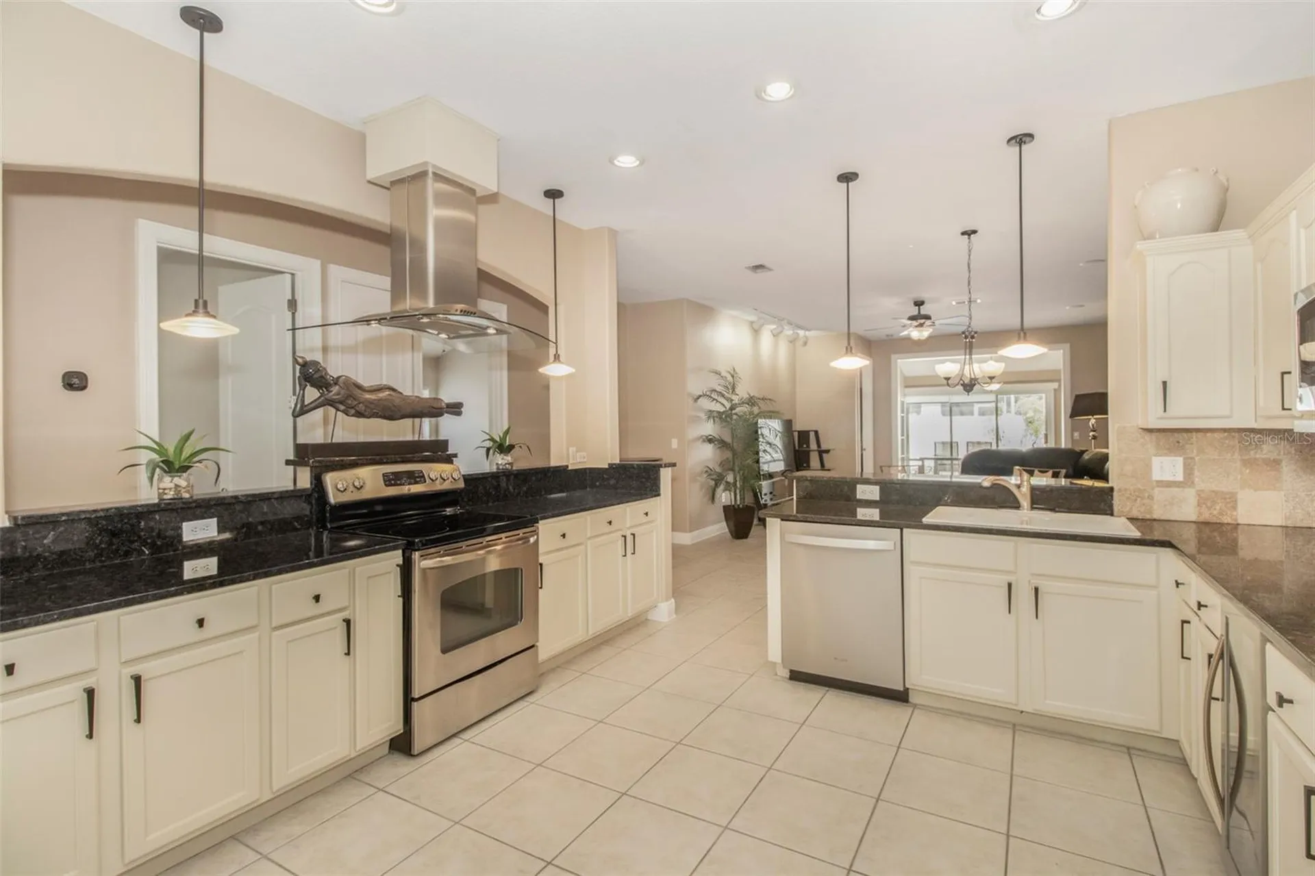 19331 Haskell Place Land O Lakes FL 34638