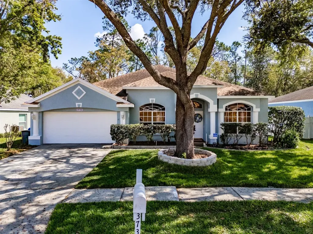 3732 Hollow Wood Drive Valrico FL 33596