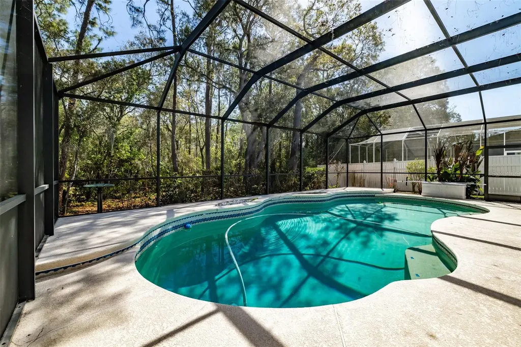 3732 Hollow Wood Drive Valrico FL 33596