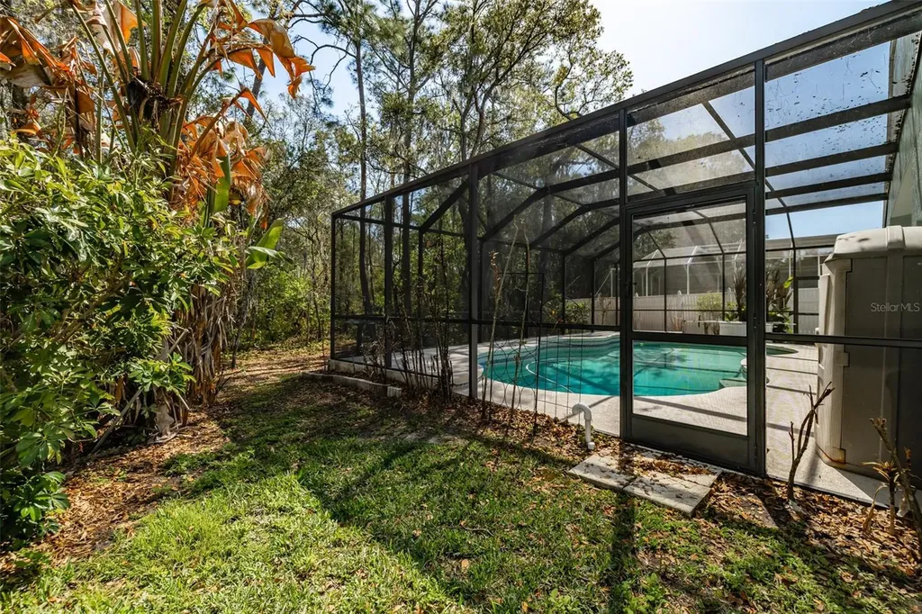3732 Hollow Wood Drive Valrico FL 33596