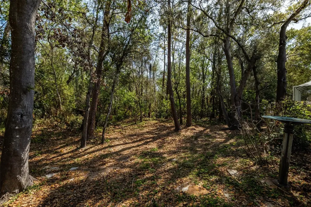 3732 Hollow Wood Drive Valrico FL 33596