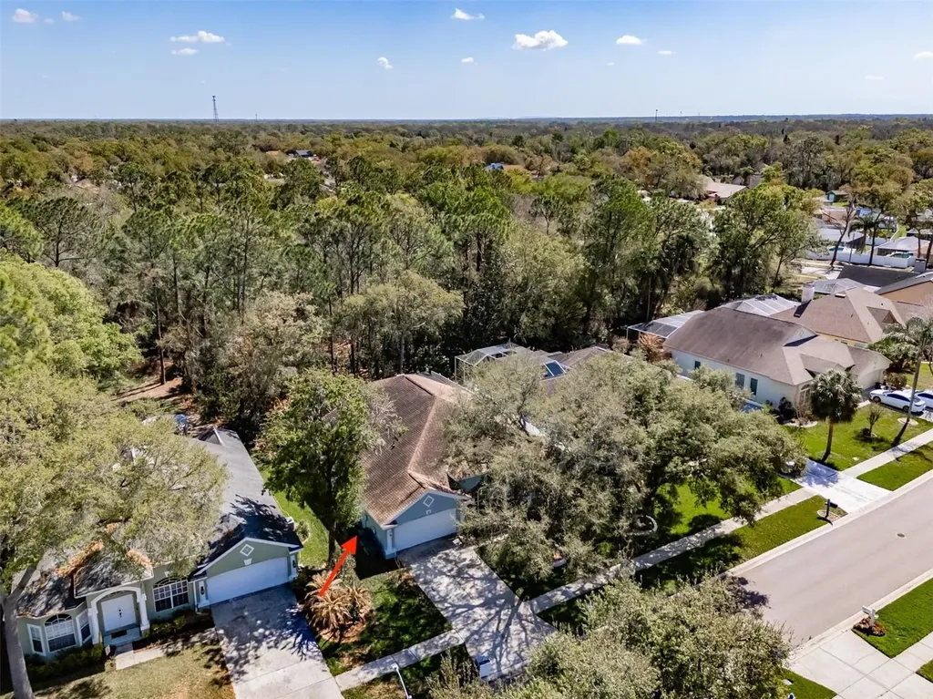 3732 Hollow Wood Drive Valrico FL 33596