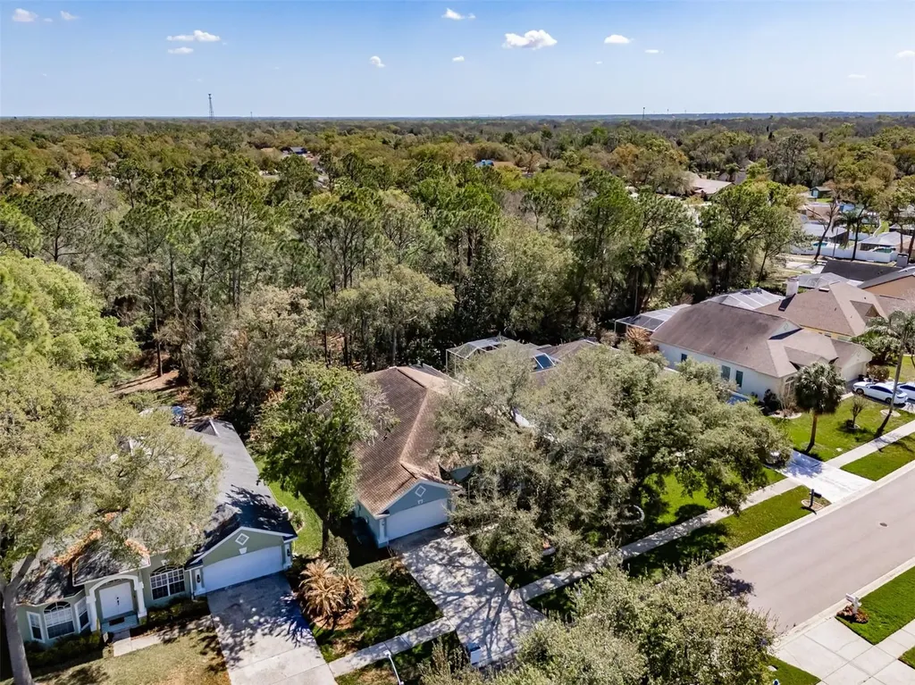 3732 Hollow Wood Drive Valrico FL 33596