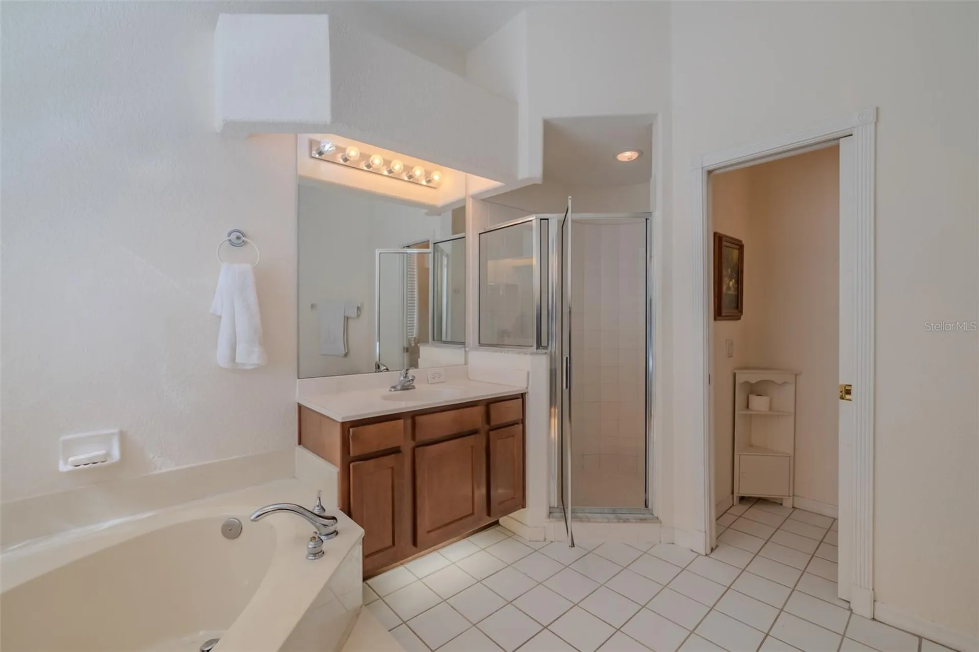 3732 Hollow Wood Drive Valrico FL 33596