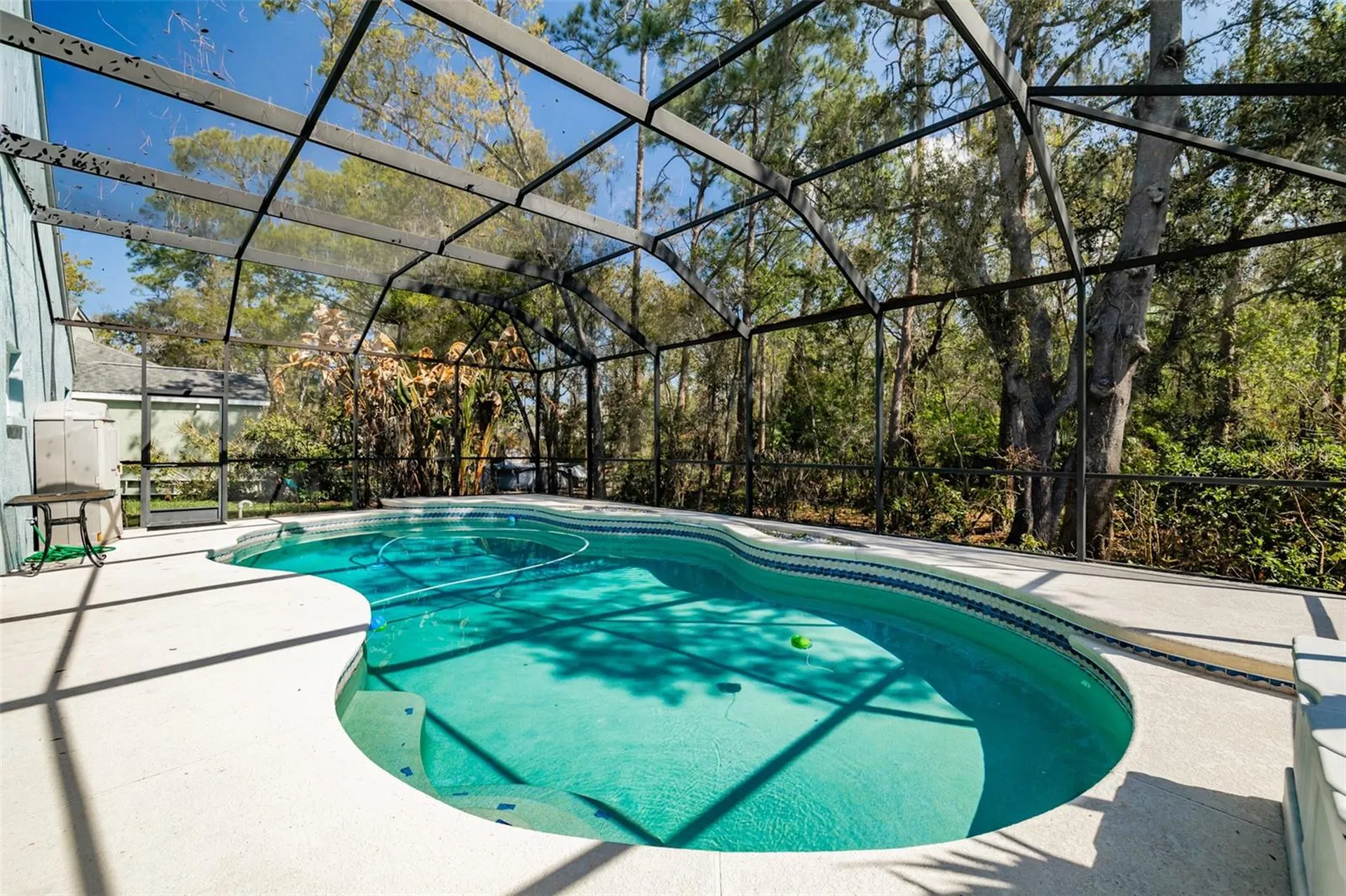 3732 Hollow Wood Drive Valrico FL 33596