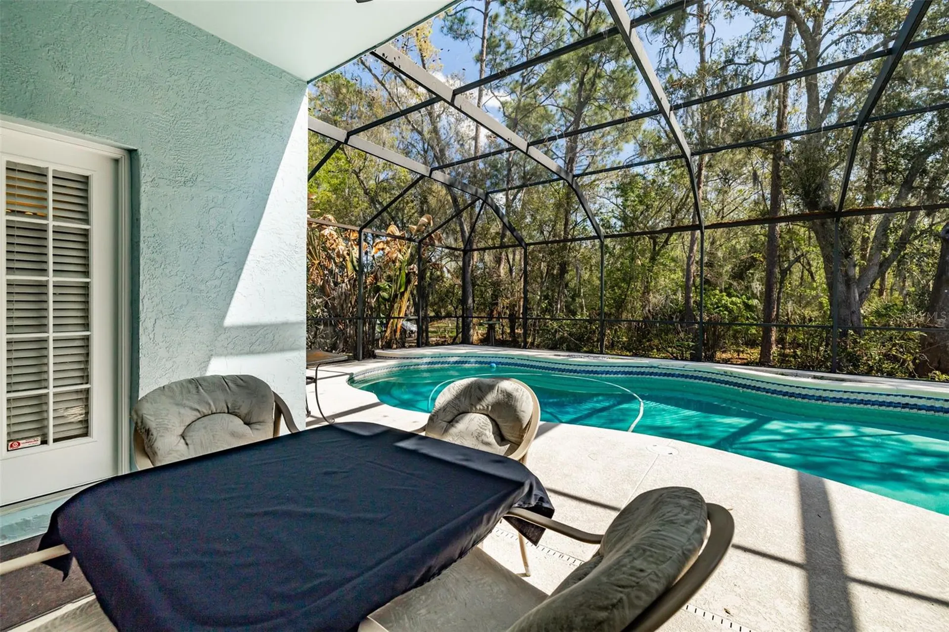 3732 Hollow Wood Drive Valrico FL 33596