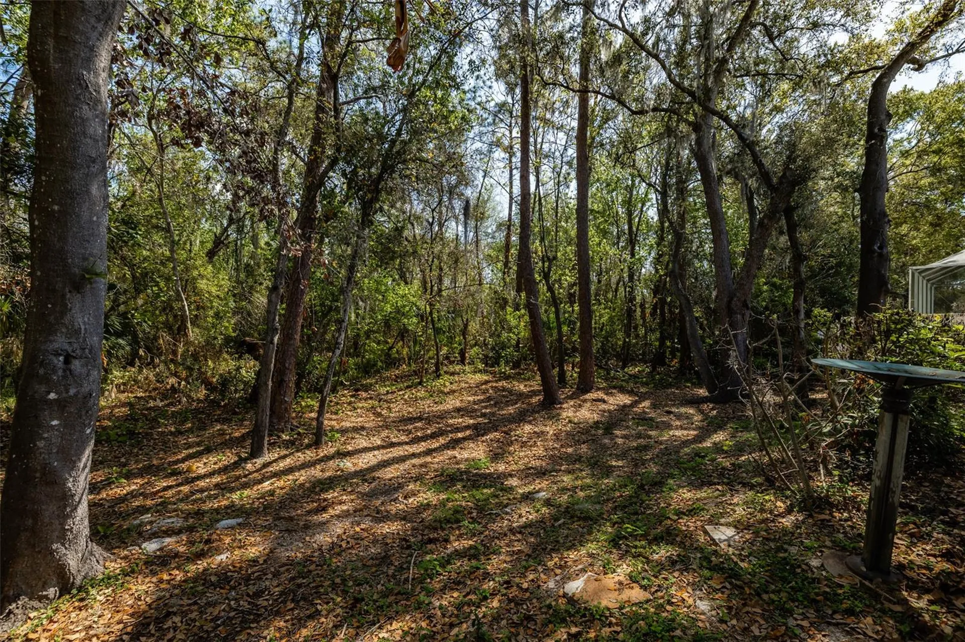 3732 Hollow Wood Drive Valrico FL 33596